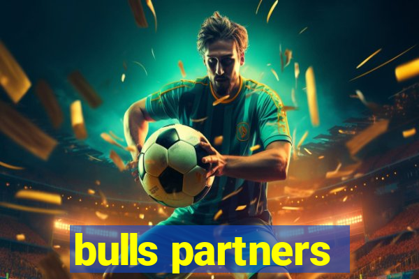 bulls partners